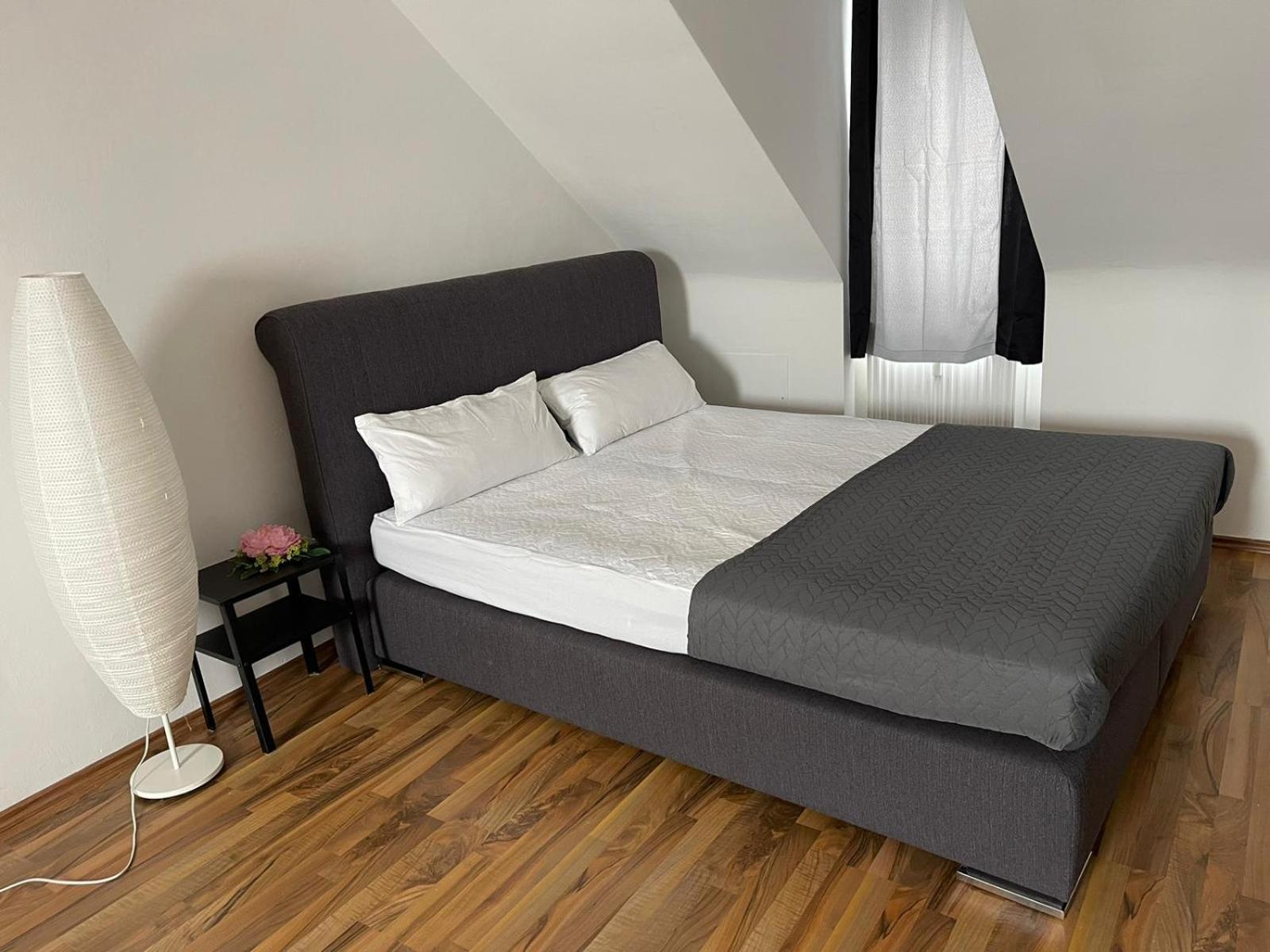 Geraeumige 3-Zimmer-Ferienwohnung Im Herzen Von Kassel Kültér fotó